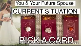 You & Your Future Spouse CURRENT SITUATION 🥰💞  PICK A CARD #futurespouse #pickacard 