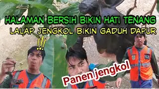BERSIHIN HALAMAN VILLA AKI JIKA BERSIH AKAN TERLIHAT INDAH