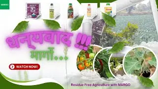 #KisanDilSe: Progressive Farmer of Maharashtra shares his experience with #MARGO #Biosolutions