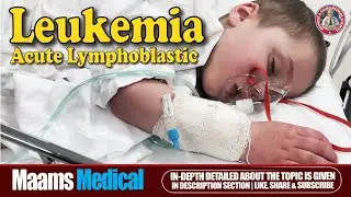 Acute Lymphoblastic Leukemia: Causes, Symptoms & Treatment