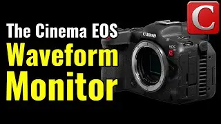 Cinema EOS OS Waveform Monitor - R5C In Depth Ep 53