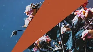 Harley Knox feat. Elociin - Without My Love