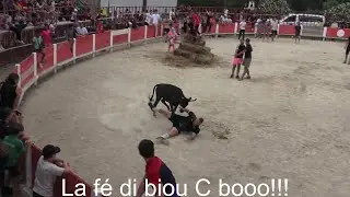 Vachettes dans les arènes de Montbazin 22 et 23 Juin 2024🤣🤣.