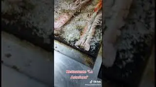 Cigalas a la Plancha