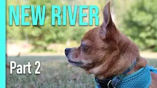 Stay at New River Campground | Ep 10