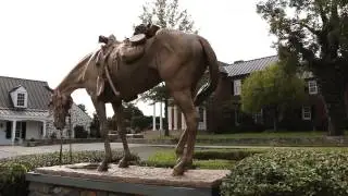 Horses & History in Middleburg, VA