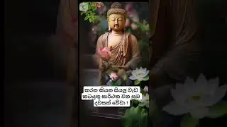 #goodmorning #morningwishes #srilanka #buddha #buddhablessings #viralshortvideo