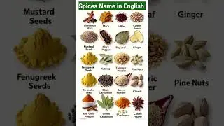 Spices Name in English with Pictures | Learn Spice Names for Beginner's #shorts #english