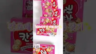 칸쵸에서 내 이름 찾는 것보다 개명하는 게 더 빠를 듯 #칸쵸 #칸쵸이름찾기 #칸쵸이름찾기이벤트 #칸쵸네이름을찾아라 #도파민 #랜덤 #fyp