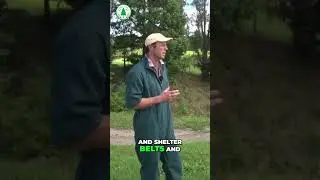 Trees on the Farm: Planting for Profit & Sustainability