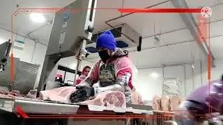 frozen pork carcass breakdown to primal cuts and production to choice cuts for display Vid01