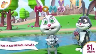 AKILLI TAVŞAN MOMO__51__BÖLÜM - HASTA YAVRU KAPLUMBAĞA ÇİZGİ FİLİM 👍💖