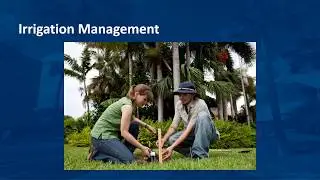 Irrigation Management
