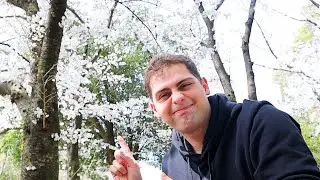 HANAMI | VLOG