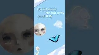 Useful items for our pets on SHEIN!!! #happy #aesthetic#life#diary #shein #haul#animals