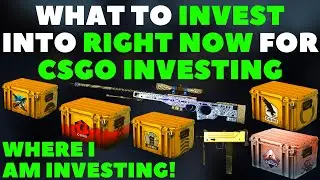 What To INVEST Into RIGHT NOW For CSGO INVESTING | Market CRASH Investing