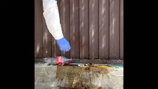 Кола мен Шар және Ментос, Сода. Эксперимент#Shorts