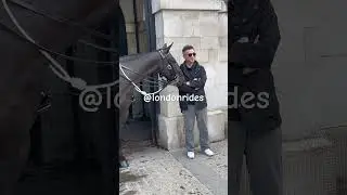 Tourist Favourite Place in London TouristMishap #LondonAttraction #SurprisingMoments #MustSee