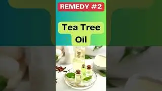 Use Tea Tree Oil To Get Rid Of Dandruff | Home Remedy Sanctuary | #shorts