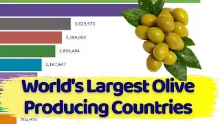 World's Largest Olive Producing Countries 1961- 2019| Top 15 Olive Producing Countries 1960-2019