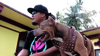 Mountain Boyz  - Bottle Of Whiskey (Official Music Video) Chuuk