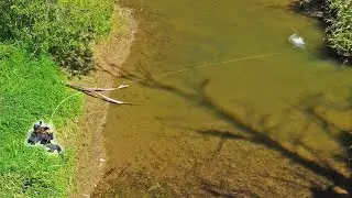 Fly Fishing In Slovakia- Best Sight Fishing -www.flyfishing-slovakia.com #flyfishinginslovakia