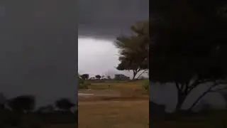 المرحومة ديمي بنت اب  - اراك عصي الدمع