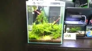 Aquael Smart Shrimp Set 20