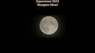 1 August 2023 'supermoon'#viral#shorts#trending