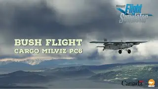 BUSH FLIGHT CANADA |  PILATUS PC6 CARGO MILVIZ  |  MFS2020