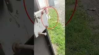 She Survived the Winter Alone Beneath Garages Until One Moment Changed Everything