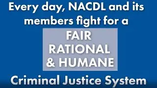 What challenges face the criminal justice system today?