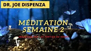 Joe Dispenza #m&eacute;ditation en fran&ccedil;ais #Semaine 2