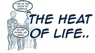 Why Don't Chinese Tea Cups Have Handles? | A Hand-Drawn Story About Life & Meaning