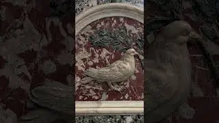 More #beautiful pics from the #Vatican, #RaulinRome, day 10