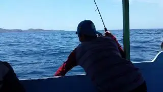 STRIKE PUTIHAN DI PELANGAN