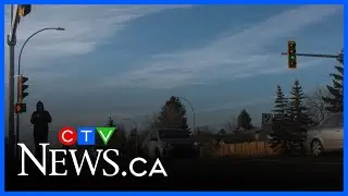 Woman dead after crash in northeast Edmonton