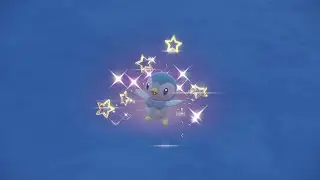 PEV : Tiplouf (Piplup) Shiny 4