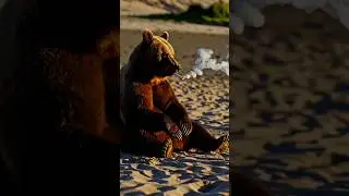 Smoking Bear