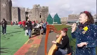 Pared Dydd Gwyl Dewi CyntafCastell Penfro. 2025. Inaugural Saint David's Day Parade.Pembroke Castle.