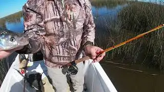PEJERREY CON MOSCA!! Salada Grande de Madariaga (agosto 2021)