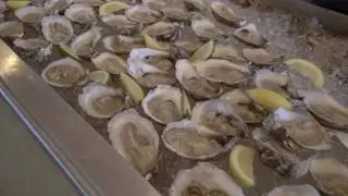 OYSTER BOB