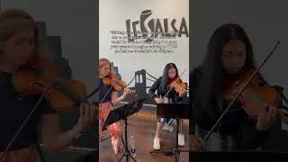 River flows in you for string quartet #classicalmusic #chambermusic #stringorchestra #stringquartet
