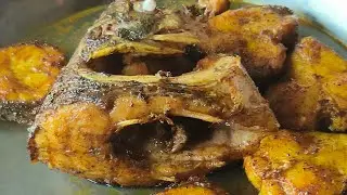 Katal Fish Brinjal Cooking Recipe and Eating ll village Cooking ll Imrulkhan 69 Video 2024