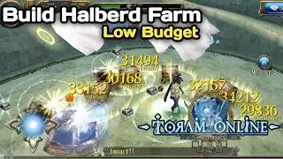 Build Halberd Farm Low Budget | Toram Online