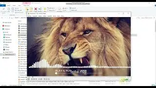Como descriptografar Faust ransomware com Phobos Decryptor|Phobos Family