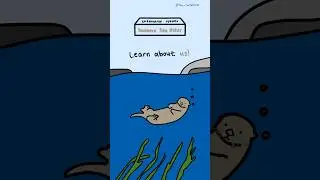 The Southern Sea Otter #endangeredspecies #animation #animals #otter #seaotter
