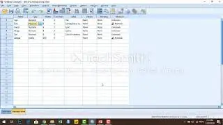 Se1Ep2: SPSS программ дээр өгөгдөл хэрхэн оруулах вэ? (Enter data and define variables in SPSS)