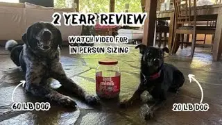 2 Year Review  -  Milk-Bone Mini's Flavor Snacks Dog Treats