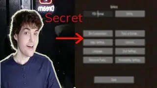 Dream's Secrect Minecraft settings